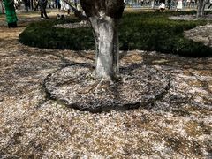 -西北湖绿化广场