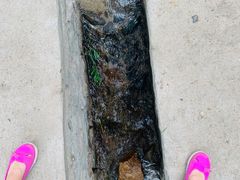 -碓臼峪自然风景区