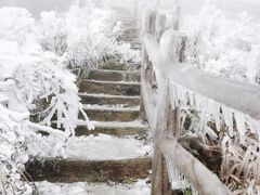 -金子山原生态旅游风景区