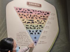 -深圳博物馆历史民俗馆