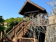 -三亚亚龙湾人间天堂鸟巢度假村