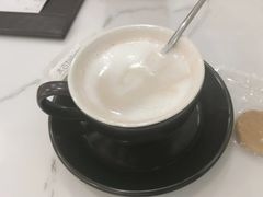 -喵园·猫主题咖啡厅·撸猫·猫咖(国贸店)