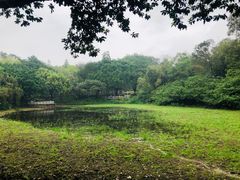 -云溪植物园