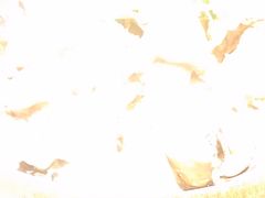 -蜀留香石锅鱼(六顺街店)