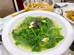 上汤浸桑叶-红日饭店(裕隆三路店)