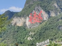 -长寿村