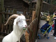 -西湖天地