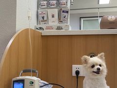 -联合动物医院(光谷诊疗中心)