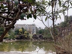 -铁山坪森林公园