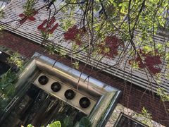 -平山城鑫烧烤(建国楼店)