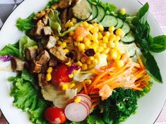 -怪兽炸鸡.轻沙拉(锦州店)