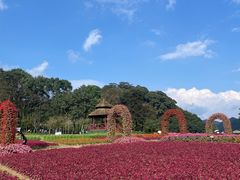 -广州市石门国家森林公园