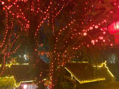 -悦真雅院·四合院·清真私房菜(雍和宫店)