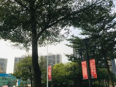 -美的鹭湖森林度假区