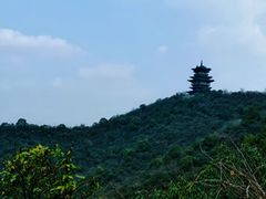 -杭州半山国家森林公园