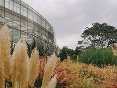 -昆明植物园