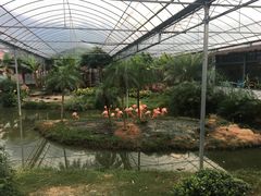 -无锡动物园·太湖欢乐园