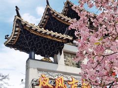 -宝墨园景区
