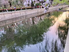 -海棠花溪(元大都城垣遗址公园)