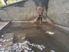 -凤翔首邑温泉度假村