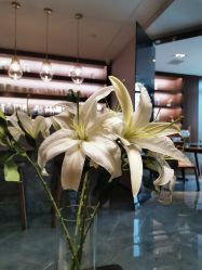 -美健盛世·美容SPA连锁