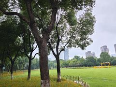 -院士公园