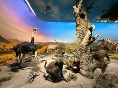 -国家自然博物馆