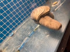 -和和小厨