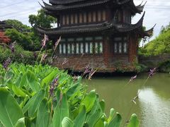-韩湘水博园