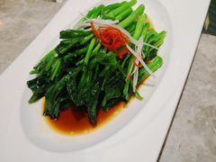 白灼芥蓝-大树餐厅(红旗街万达店)