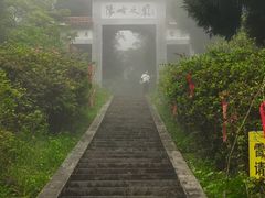 -江西阳明山国家森林公园