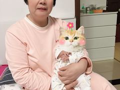 -天鹅到家·保姆月嫂育儿嫂(总店)