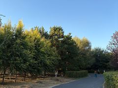 -红山国家森林公园