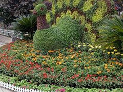 -辛玛王国游乐园