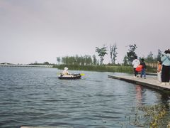 -春花秋色城市公园