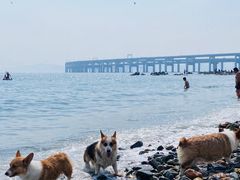 -银沙滩浴场