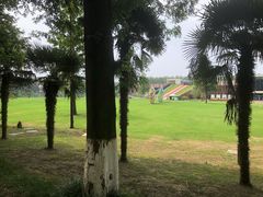 -黄海国家森林公园