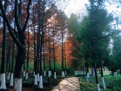 -长广溪湿地公园
