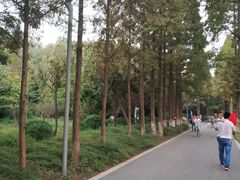 -昆山城市生态森林公园