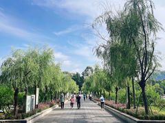 -西湖公园(鼓楼区)