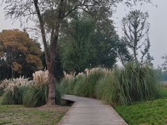 -长广溪湿地公园