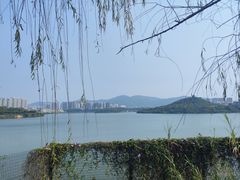 -立新湖公园