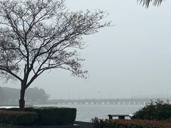 -水上明月·湖景餐厅
