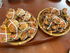 -蟹天蟹地农家菜·阳澄湖大闸蟹(浅水湾店)