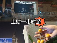 -上海财经大学(国定路校区)