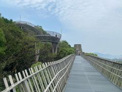 -福道