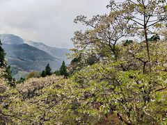 -舒家湾天主教堂