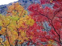 -叠溪松坪沟景区