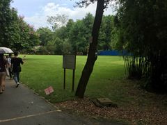 -南宁良凤江国家森林公园