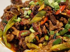 -柴窝堡22号辣子鸡·传承新疆菜